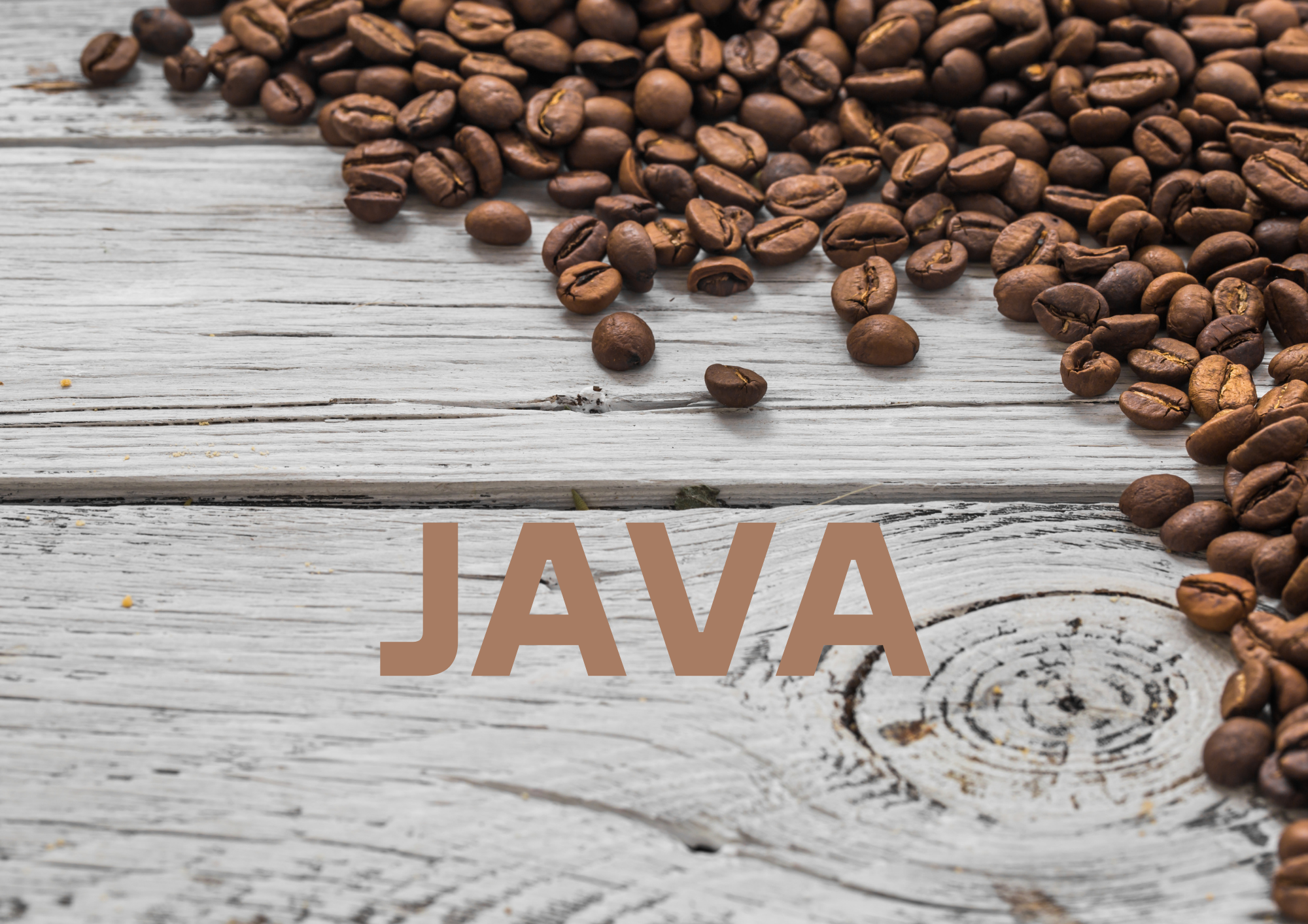 Java programming language – why is it worth it in 2022?